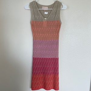 NWT Gold & Pink Sheer Dress